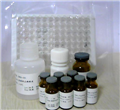 elisa试剂盒厂家 RBP-4 kit,大鼠视黄醇结合蛋白4Elisa试剂盒(_上海广锐生物科技