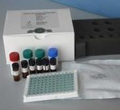 大鼠维生素D(VD)ELISA试剂盒 厂家、进口、国产价格_上海生物科技